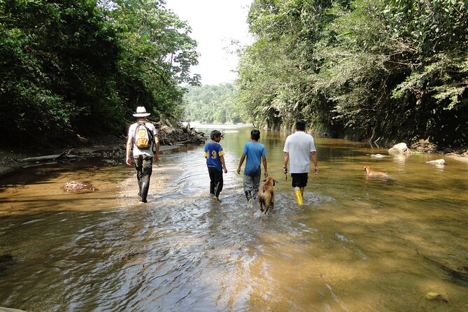 3 Days Jungle Tour Expedition Amazonia in Ecuador - Itinerary Details