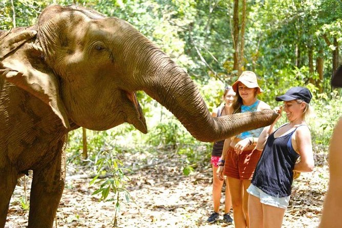 3 Days Jungle Trek in Virachey Forest - Tour Details