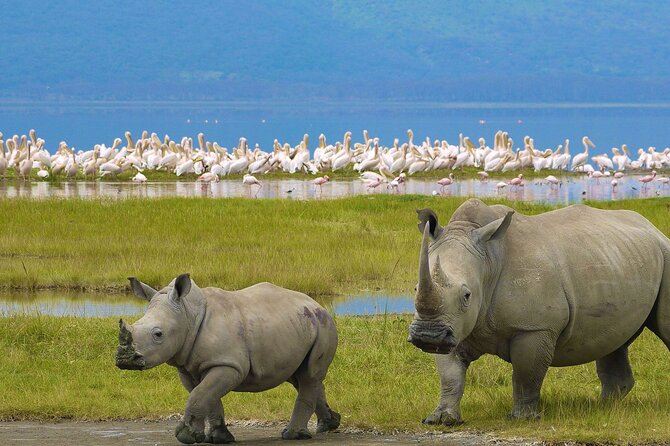 3 Days Lake Nakuru National Park Safari - Itinerary Overview