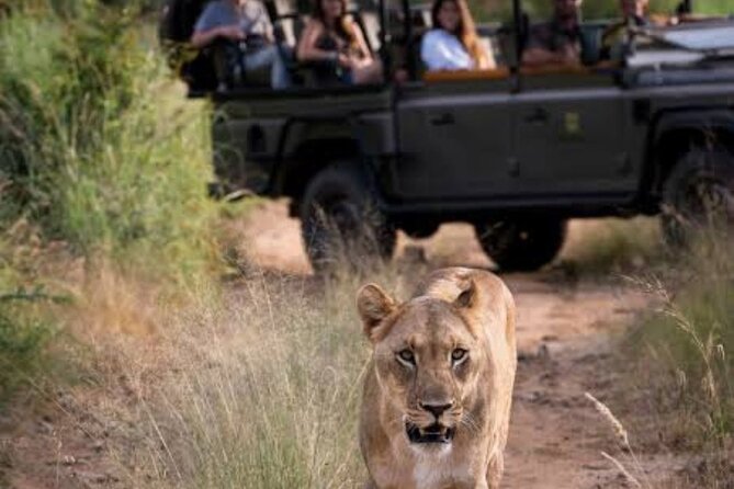 3 Days Mikumi National Park Safari Tour