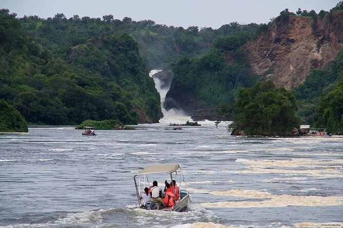 3 Days Murchison Falls Safari (The Greatest Waterfall) - Safari Highlights