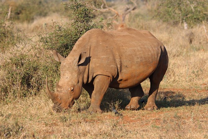 3 Days Murchison Falls Safari With Big 5 Sightseeing