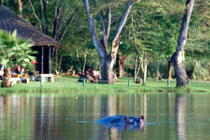 3 Days Nairobi, Tsavo West, Amboseli Safari