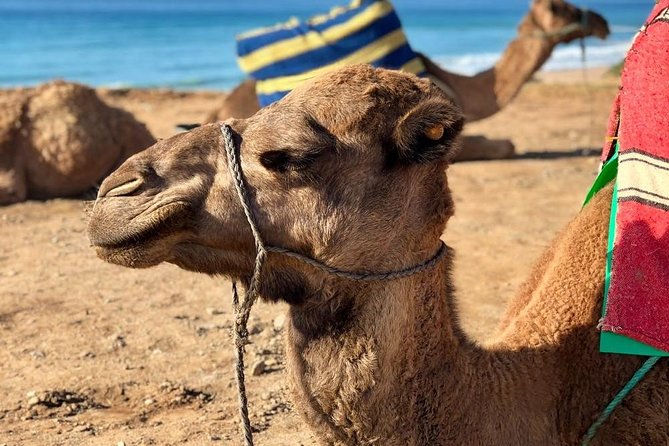 3 Days Nomad Desert Tour – Marrakech > Zagora > Marrakech