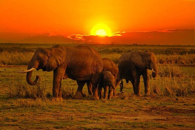 3 Days of Private Safari Tour in Tsavo National Park West - Inclusions and Exclusions