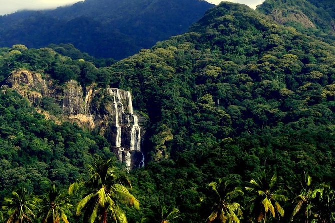 3 Days Safari - Ifakara-Udzungwa and Mikumi National Parks - Expectations and Accessibility