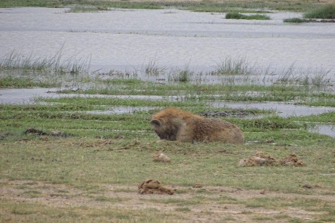 3 Days Safari Start in Nairobi – Amboseli – Tsavo West – End in Mombasa