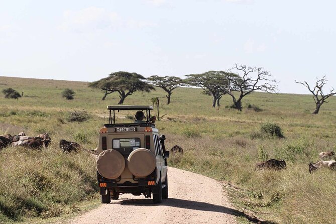 3 Days Safari - Safari Location