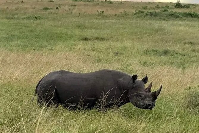 3 Days Safaris Tsavo East National Park and Taita Hills Saltlick