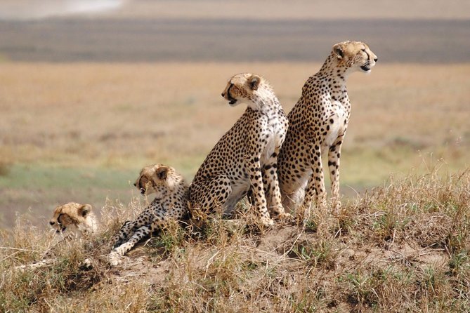3 Days Samburu Big Five - Tour Overview