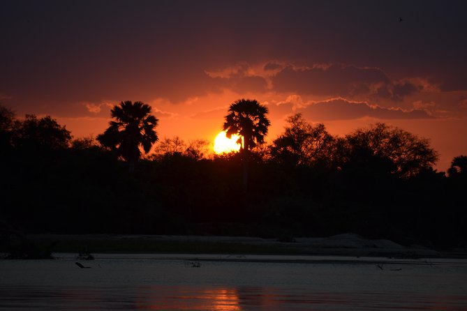 3 Days Selous Game Reserve Road Trip- Boat Safari, Game Drive And Walking Safari - Practical Information
