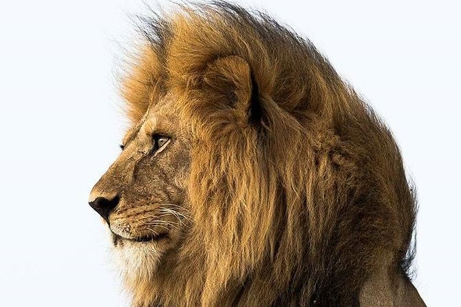 3 Days Serengeti Ngorongoro Crater