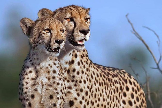 3 Days Serengeti & Ngorongoro Creater