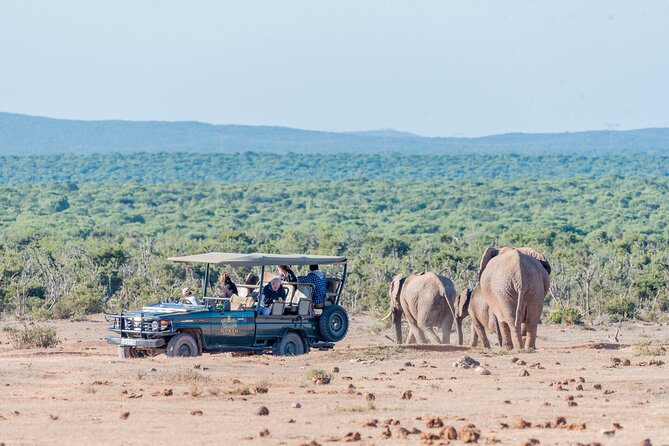 3 Days Serengeti & Ngorongoro Private Camping Safari Tour - Itinerary Overview