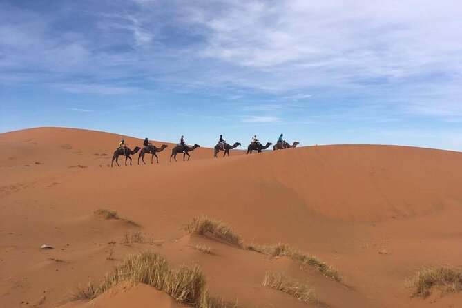 3 Days – Shared Sahara Desert Tour From Marrakech to Fes