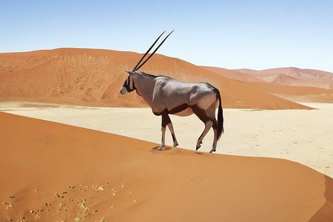 3 Days Sossusvlei Safari (Lodging) Namibia - Airport Transfers Information