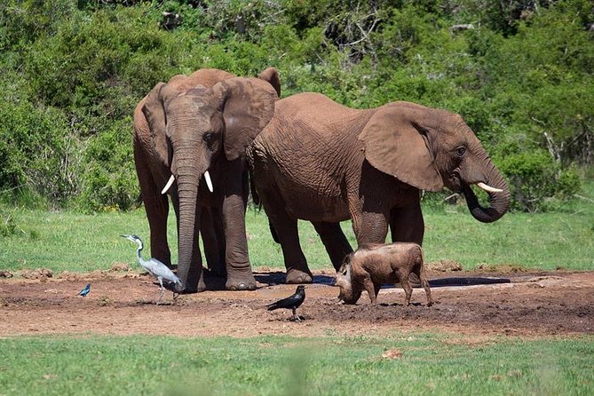 3-Days Tanzania Safari From Arusha