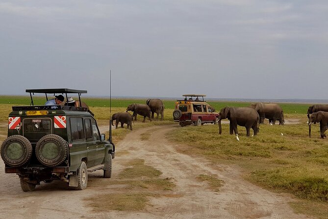 3 Days Tsavo East National Park and Taita Hills Sanctuary on Jeep - Itinerary Overview