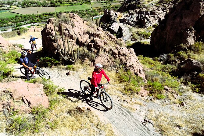 3-Hour Tour by Mountain Bike in Arequipa - Tour Overview