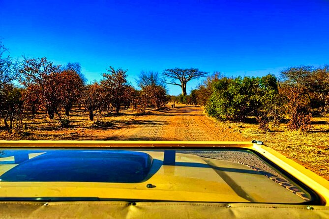 3-Hour Zambezi National Park Safari in 4x4 Jeep - Safari Extension Option