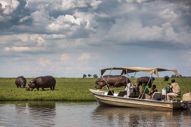 3 Hours Chobe Boat Cruise, Botswana - Tour Highlights