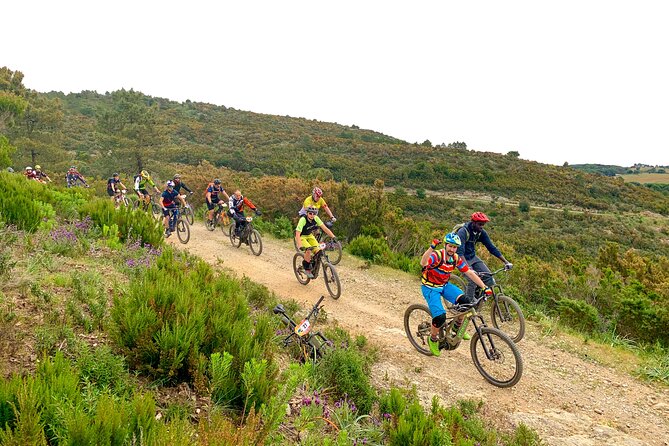 3 Hours E-Bike Tour With Wine Tour at Tenuta La Chiusa