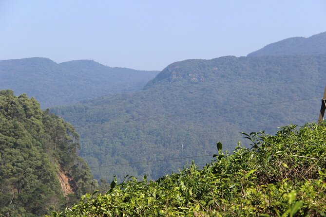 3 Hours Private Walking Tour in Nuwara Eliya With Pickup