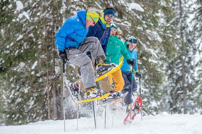 3 Hours Snowshoeing in Paganella in the Dolomites - Location and Meeting Point Details