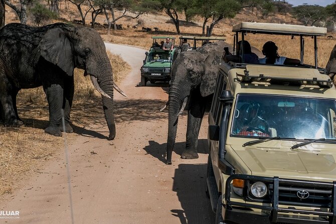 3Day Amboseli National Park Budget Safari on 4×4 Landcruiser Jeep