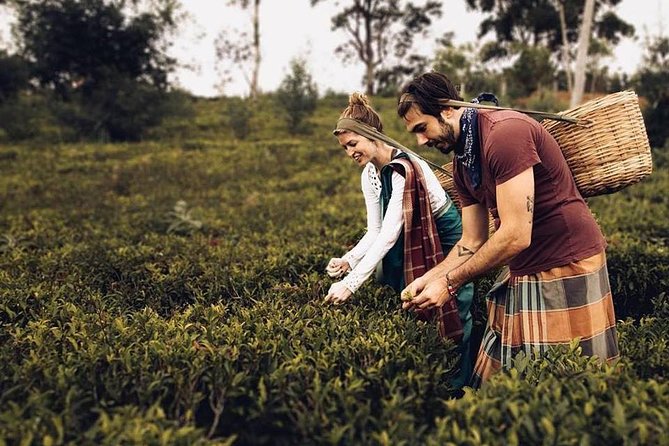3Night 4Days Sri Lanka Experience - Exclusions