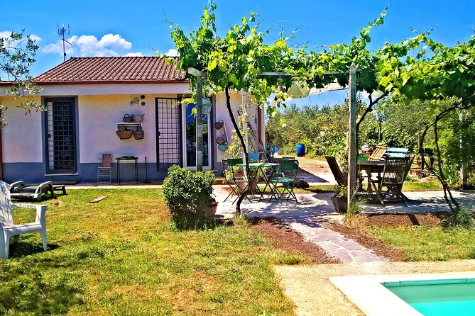 4-Course Dinner in the Roman Countryside - Menu Highlights