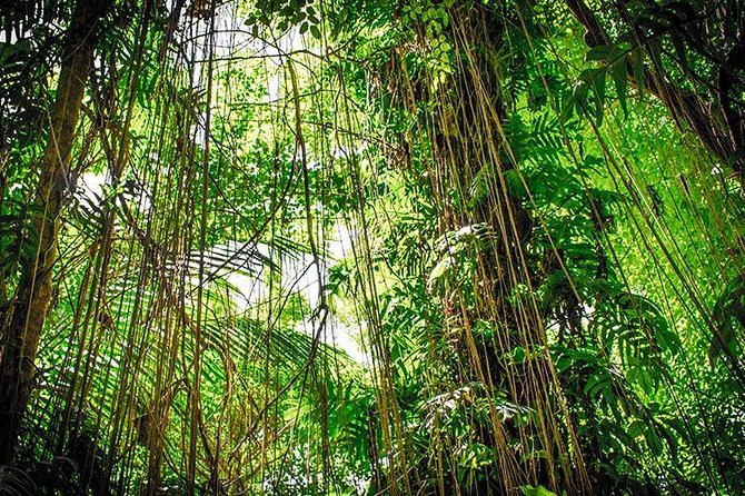 4-Day Adventure in Tortuguero National Park - Accommodation Details