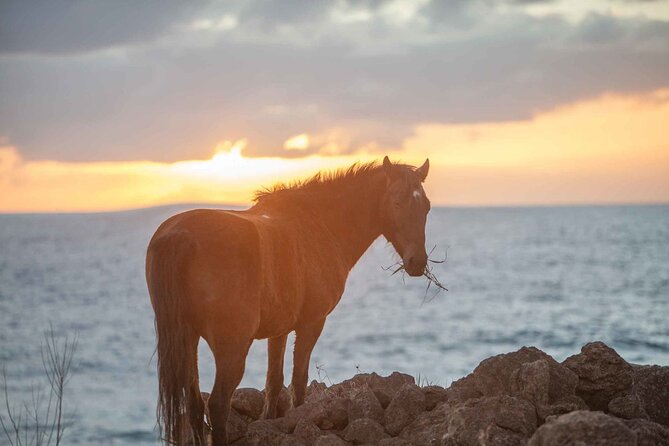 4-Day Adventure Tour in Easter Island
