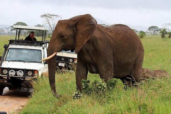 4 Day Amboseli National Park Luxury Safari - Accommodations and Amenities