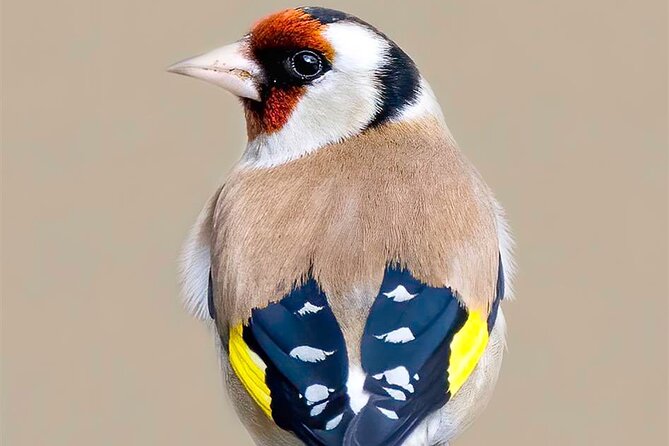 4-Day Birding in Murchison Falls National Park - Itinerary Overview