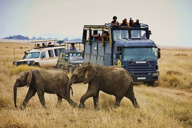 4-Day Discover Maasai Mara and Lake Nakuru Safari on 4×4 Jeep