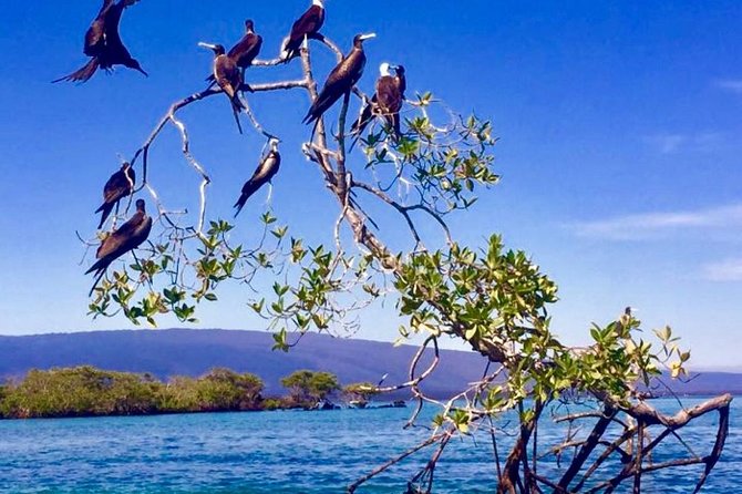 4-Day Galapagos Island Hopping Tour in Santa Cruz - Inclusions and Exclusions