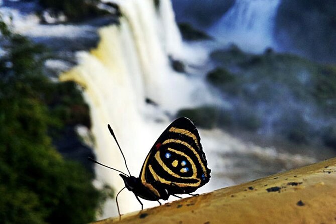 4-Day Guided Tour of Iguazu Falls