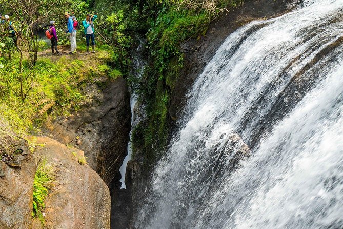 4-Day Jungle Tour to the Amazon From Bogota - Itinerary Highlights