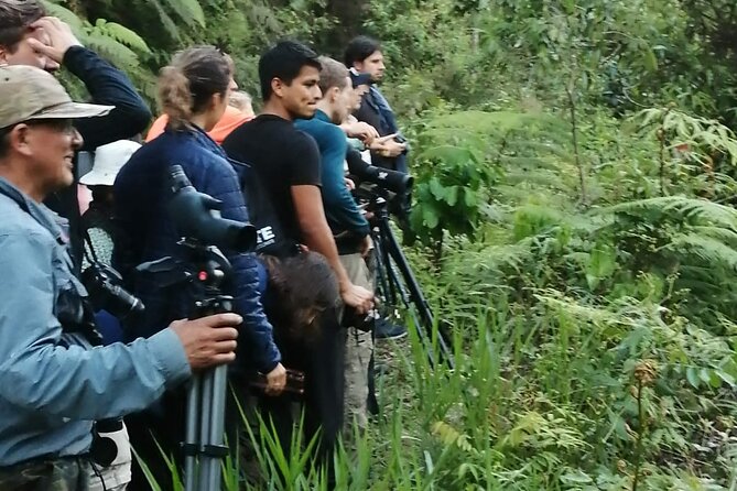4-Day Manu Jungle Tour With Adventure and Adrenaline