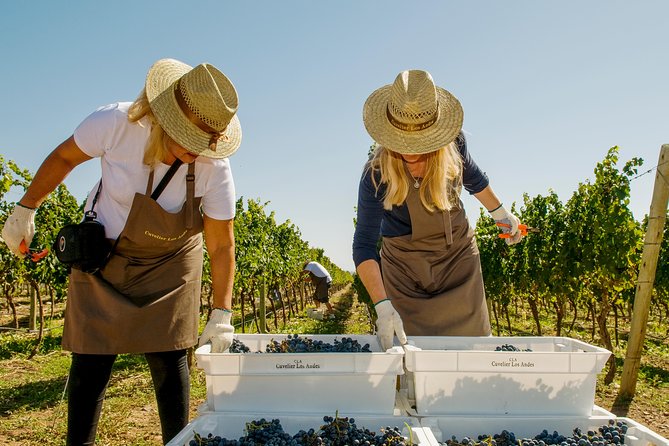 4-day Semi-private Tour of Mendoza Andes & Wine - Itinerary Overview