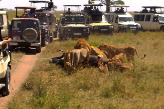 4 Days / 3 Night Safari to Ngorongoro / Serengeti