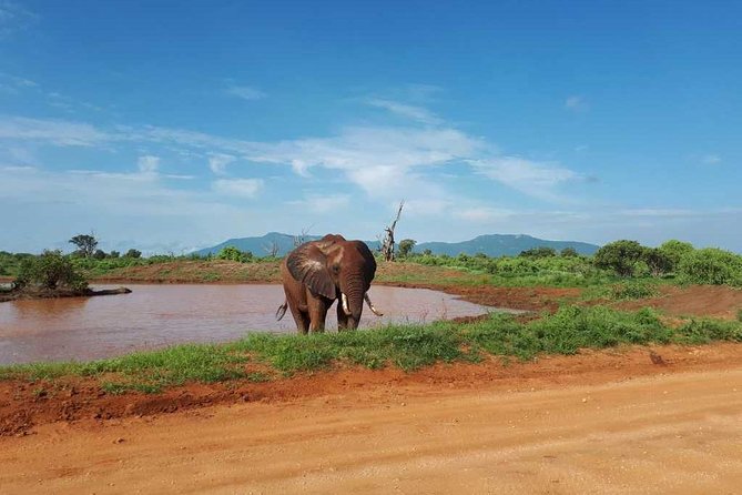 4 Days 3 Nights Tsavo East And West Safari ( Minimum 2 Persons)