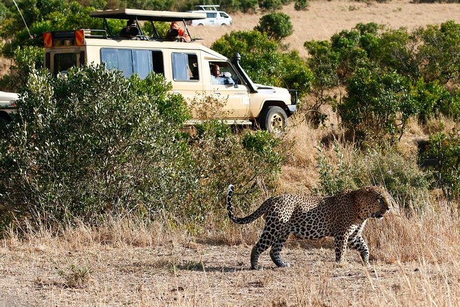 4 Days Aberdare, Lake Nakuru, Lake Naivasha Safari (Minimum 2 Persons) - Activity Information