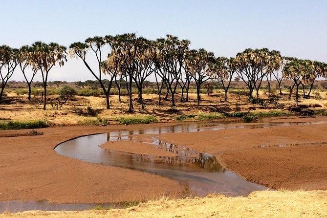 4 Days Best of Samburu & Lake Nakuru Wildlife Safari on 4x4 Jeep - Exploring Lake Nakuru National Park
