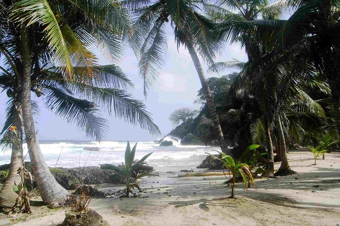 4 Days Colombian Caribbean Playground: Capurganá, Panama, Turtles