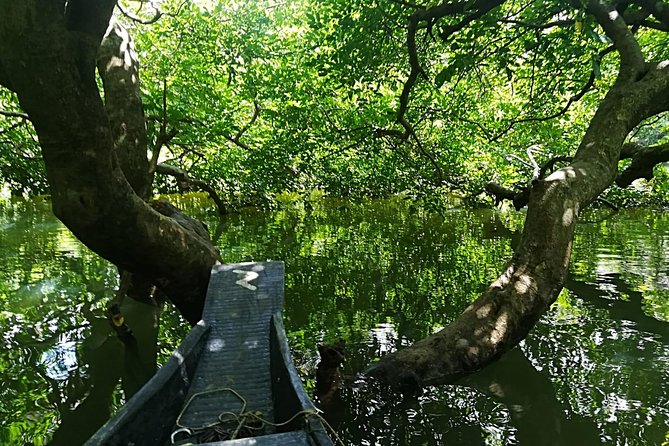 4 Days Dhaka to Sylhet & Srimangal - Accommodation Options