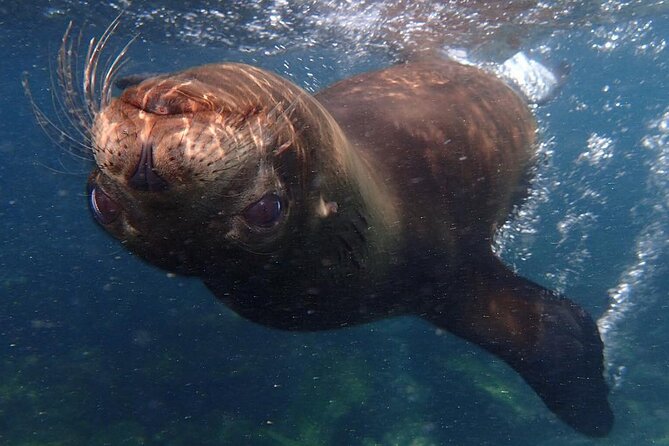 4 Days Galapagos Total Experiences - Overview of the Galapagos Experience