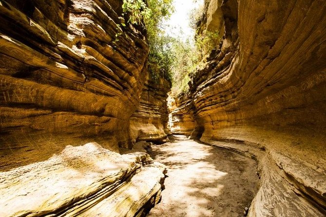 4 Days Masai Mara & Lake Naivasha From Nairobi