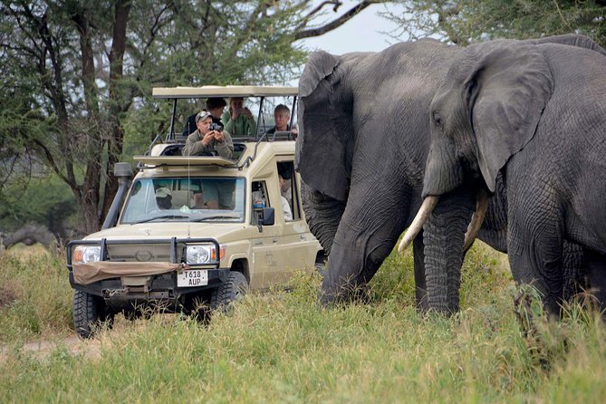4 Days Masai Mara Lodge Safari on 4x4 Land Cruiser Jeep - Accommodation Details